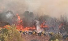 حريق في حمص السورية يودي بحياة 5 أشخاص ويصيب 10 آخرين