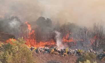 حريق في حمص السورية يودي بحياة 5 أشخاص ويصيب 10 آخرين