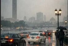 في الأجواء الترابية والممطرة.. خطوات ذكية للحفاظ على نظافة المنزل بأقل مجهود