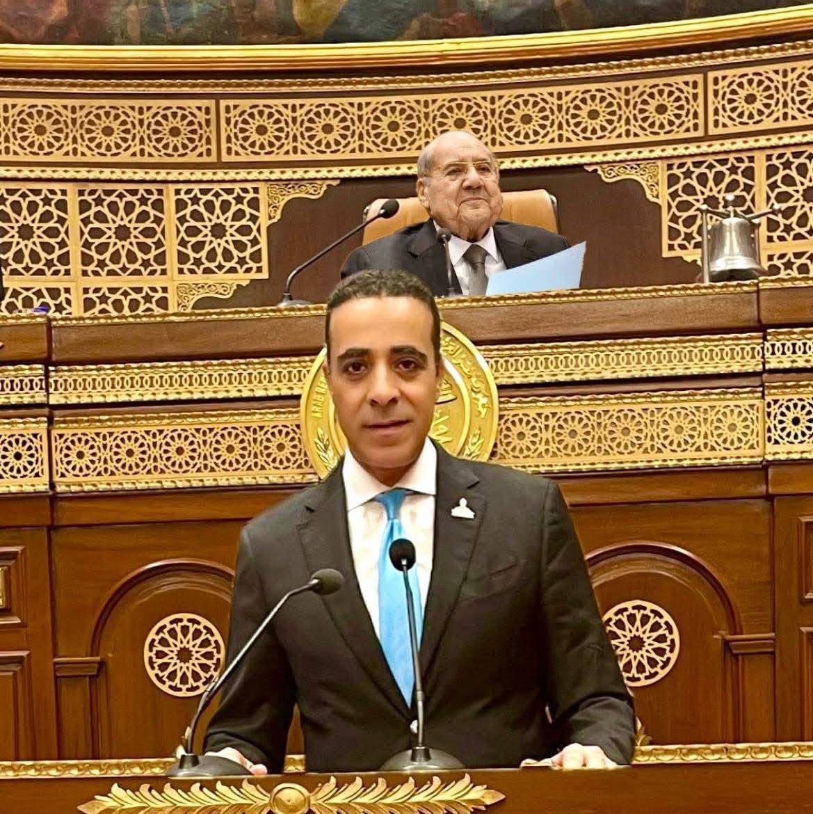 حزب الوفد يعزز هيكله التنظيمي بتعيين أحمد حماد مستشارًا للجان الإقليمية والنوعية