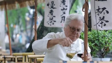 حسين فهمي يشارك في فيلم صيني جديد احتفالًا بمرور 70 عامًا على العلاقات المصرية الصينية