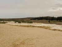 الري: سيول متوسطة بشمال سيناء دون خسائر.. ومنشآت الحماية تعمل بكفاءة