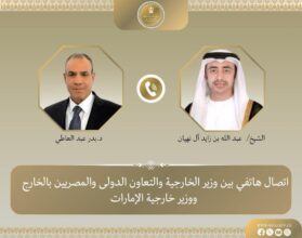 وزير الخارجية يبحث مع نظيره الإماراتي التطورات الإقليمية