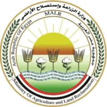 الزراعة: ذبح أكثر من 10 آلاف أضحية بالمجازر الحكومية مجانًا في أول أيام عيد الأضحى