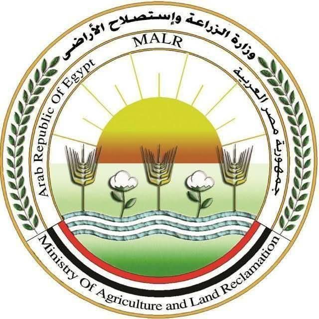 الزراعة: ذبح أكثر من 10 آلاف أضحية بالمجازر الحكومية مجانًا في أول أيام عيد الأضحى