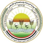 الزراعة: ذبح 7681 أضحية بالمجازر الحكومية مجانًا في ثالث أيام العيد