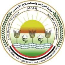 الزراعة: ذبح 7681 أضحية بالمجازر الحكومية مجانًا في ثالث أيام العيد