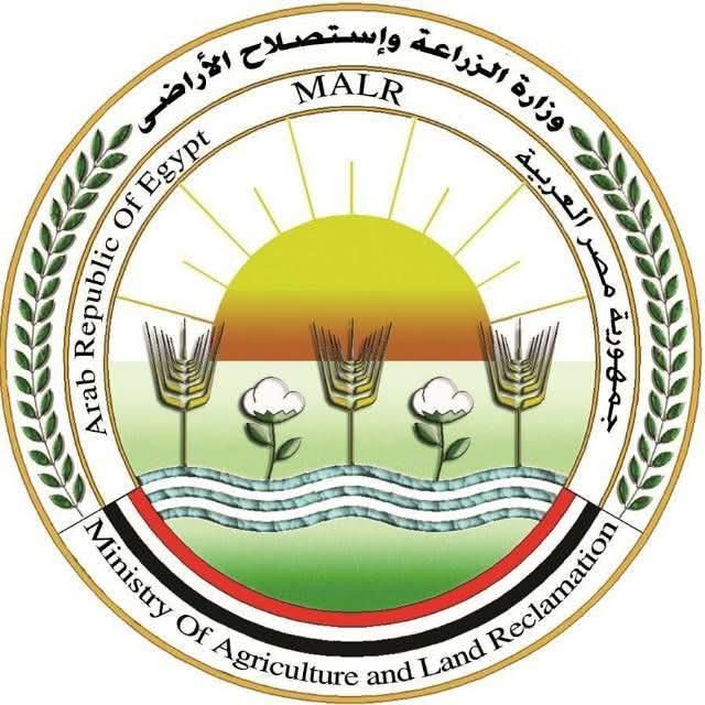 الزراعة: ذبح 7681 أضحية بالمجازر الحكومية مجانًا في ثالث أيام العيد
