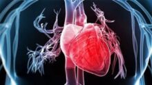 ارتجاع الصمام الميترالي.. الأسباب والأعراض وطرق العلاج