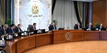 مدبولي يتابع توافر الأدوية وسداد مستحقات الشركات.. وتأكيد جاهزية توفير العملة الصعبة للاستيراد