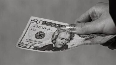 استقرار سعر الدولار أمام الجنيه المصري في ختام التعاملات بالبنوك 4 استقرار سعر الدولار أمام الجنيه المصري في ختام التعاملات بالبنوك