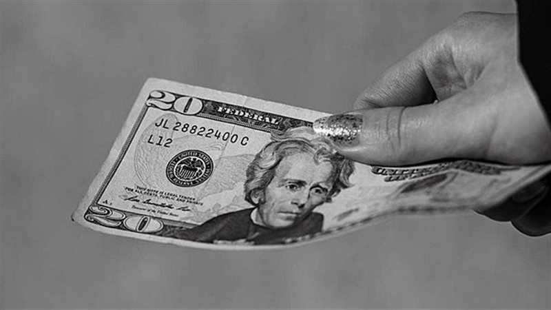 استقرار سعر الدولار أمام الجنيه المصري في ختام التعاملات بالبنوك