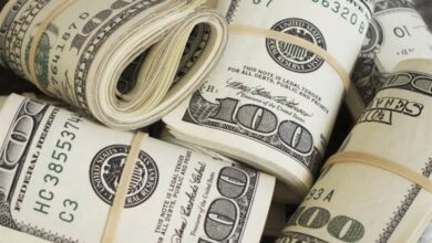 ارتفاع طفيف في سعر الدولار أمام الجنيه بالبنوك المصرية