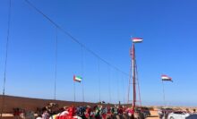 انطلاق مهرجان العلمين الدولي للهجن بمشاركة 1200 متسابق من مصر والإمارات