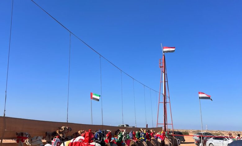 انطلاق مهرجان العلمين الدولي للهجن بمشاركة 1200 متسابق من مصر والإمارات