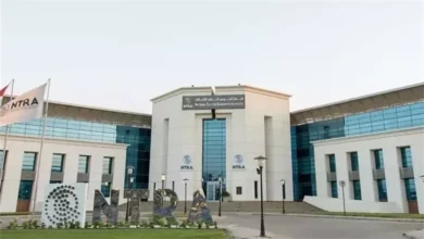 الجهاز القومي لتنظيم الاتصالات يحيل شركات المحمول الأربعة للنيابة العامة بسبب شكاوى خطوط مسجلة دون علم أصحابها