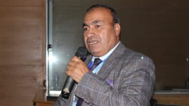 هل ينجح الزنجبيل في مصر؟.. خبير زراعي يكشف شروط الزراعة وإنتاجية الفدان