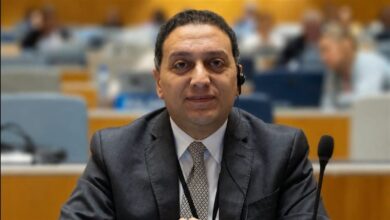 محمد عادل متحدثًا رسميًا باسم مجلس الوزراء خلفًا لمحمد الحمصاني