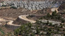 إصابة 12 فلسطينيًا في هجوم لمستوطنين قرب رام الله