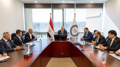 الإسراع في تنفيذ مصنع الأسمدة الفوسفاتية بالمنطقة الاقتصادية لقناة السويس