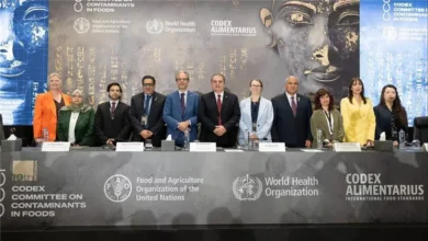 أشرف الجزايرلي: الصناعات الغذائية المصرية تتمتع بالتنوع وتوسع علاقاتها بالأسواق العالمية