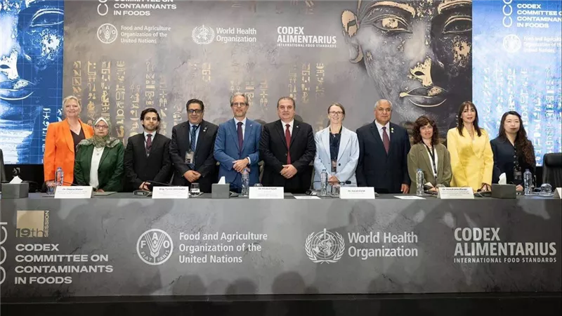 أشرف الجزايرلي: الصناعات الغذائية المصرية تتمتع بالتنوع وتوسع علاقاتها بالأسواق العالمية